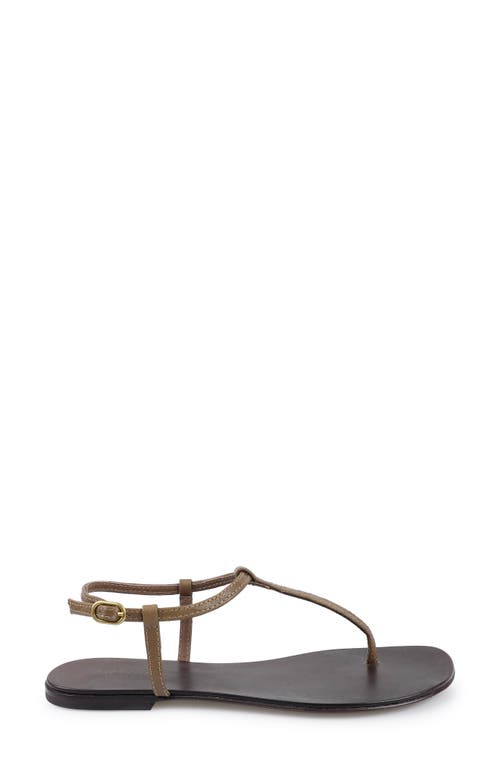 Artisan Crafted By Zigi Ankle Strap Sandal In Brown