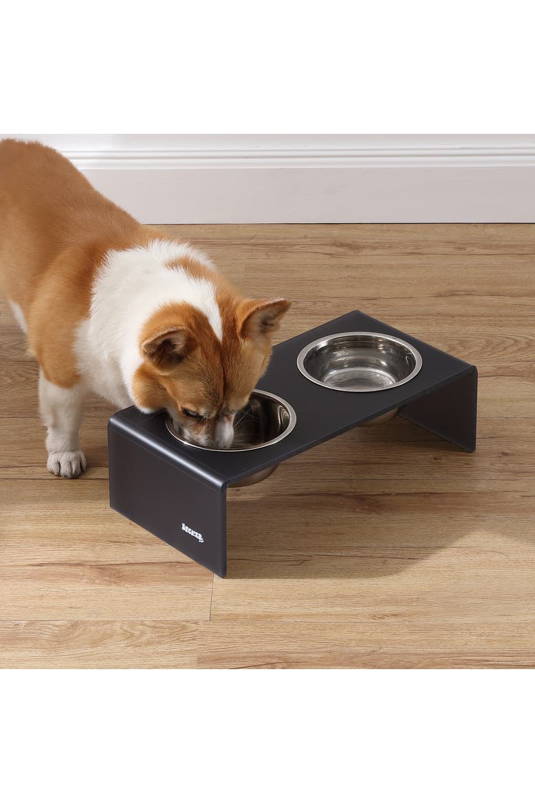 Keaton Modern Lucite Rectangular Elevated Pet Feeder with 2-Stainless Steel Bowls, Alternate, color, Dark Gray/Chrome