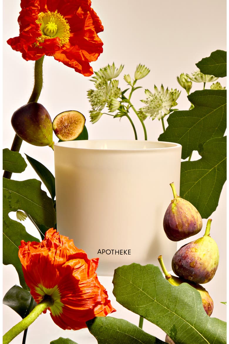 Fig & Olive Leaf 3-Wick Scented Candle, Alternate, color, NO COLOR