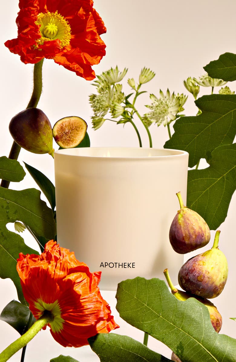 APOTHEKE Fig & Olive Three-Wick Scented Candle, Alternate, color, 