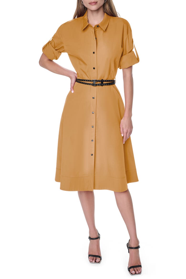 Long Sleeve Stretch Cotton Shirtdress, Alternate, color, DUNE
