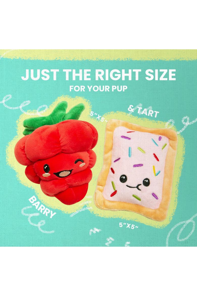 2 Pack Plush Dog Toys, Alternate, color, Multicolored