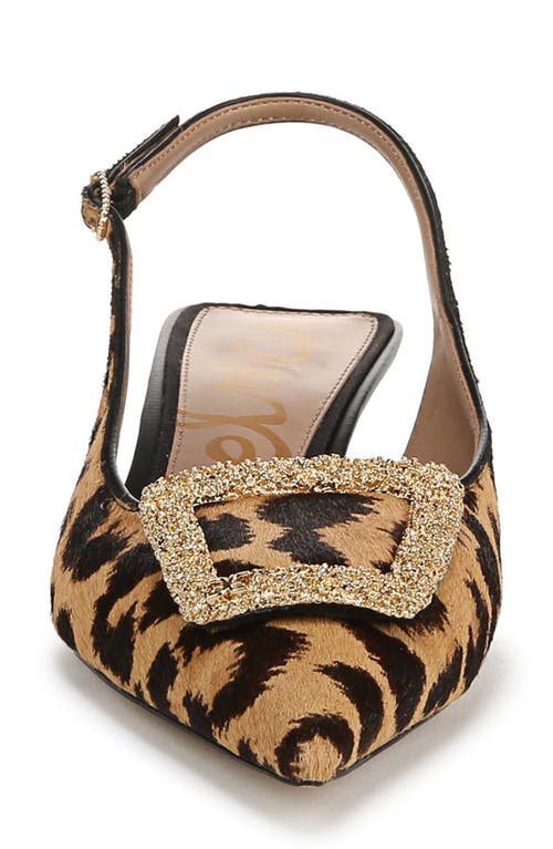 Shop Sam Edelman Kammie Slingback Pointed Toe Kitten Heel Pump In Cyrpus Tan Multi