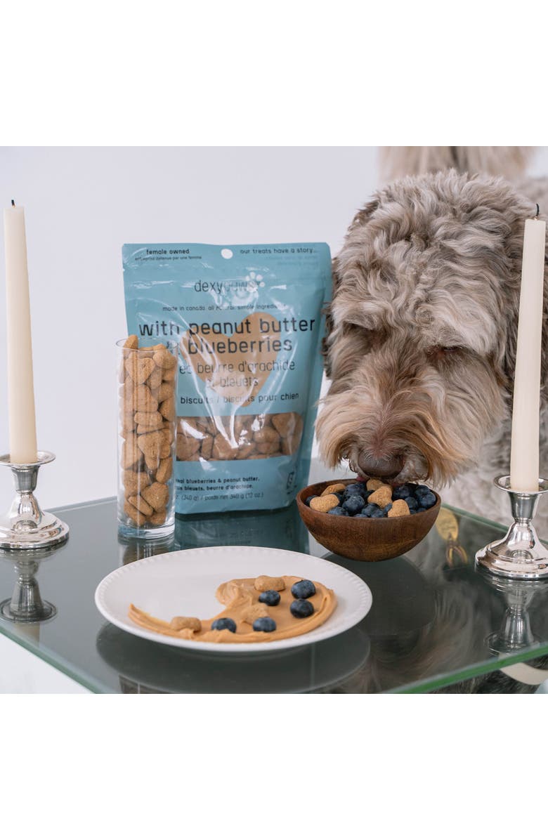 Dexypaws Peanut Butter & Blueberry Dog Biscuits 12oz, Alternate, color, 