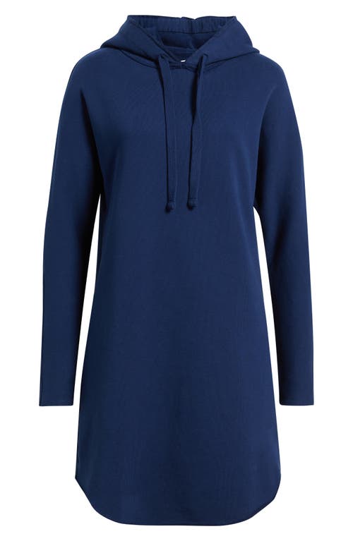 Frank & Eileen Mini James Fleece Hoodie Dress In Blue