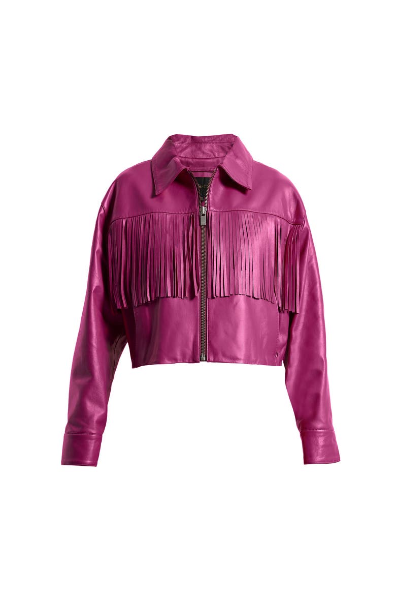 Jeremiah Upcycled Leather Fringe Jacket, Alternate, color, ROSE