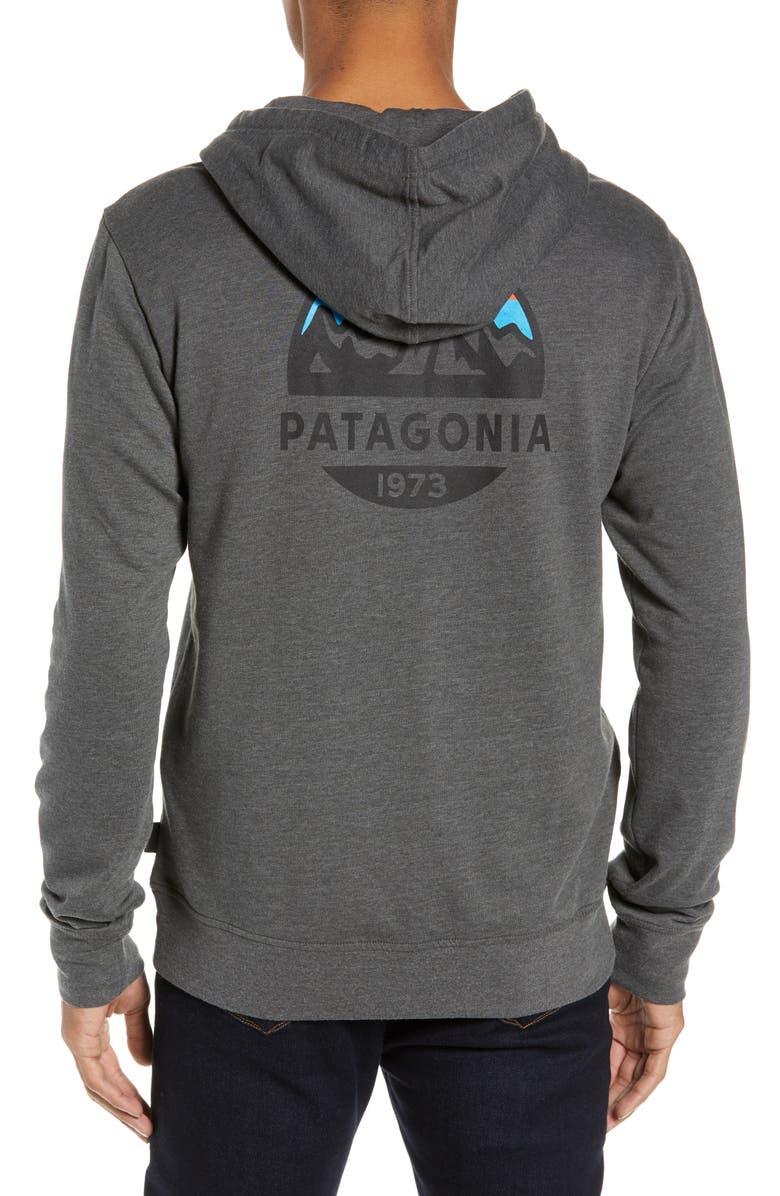 Patagonia Fitz Roy Scope Zip Hoodie, Alternate, color,