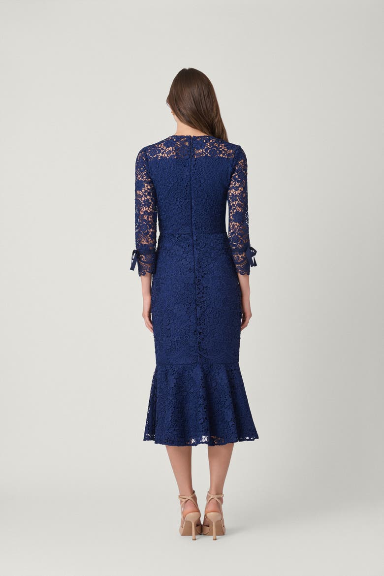 Park Floral Lace Suzanne Dress, Alternate, color, Navy