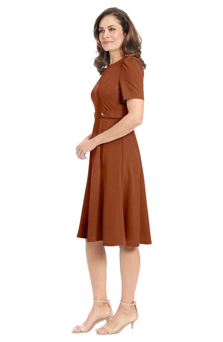 London Times Side Tab Fit & Flare Dress, Alternate, color, Cedar
