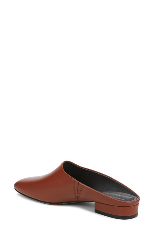 Franco Sarto Daley Mule In Brown