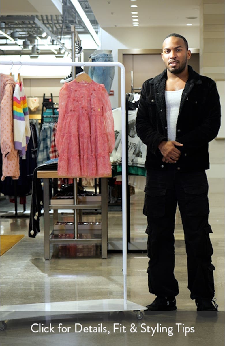 Kids' Embroidered Ruffle Long Sleeve Tiered Mesh Dress, sales video thumbnail