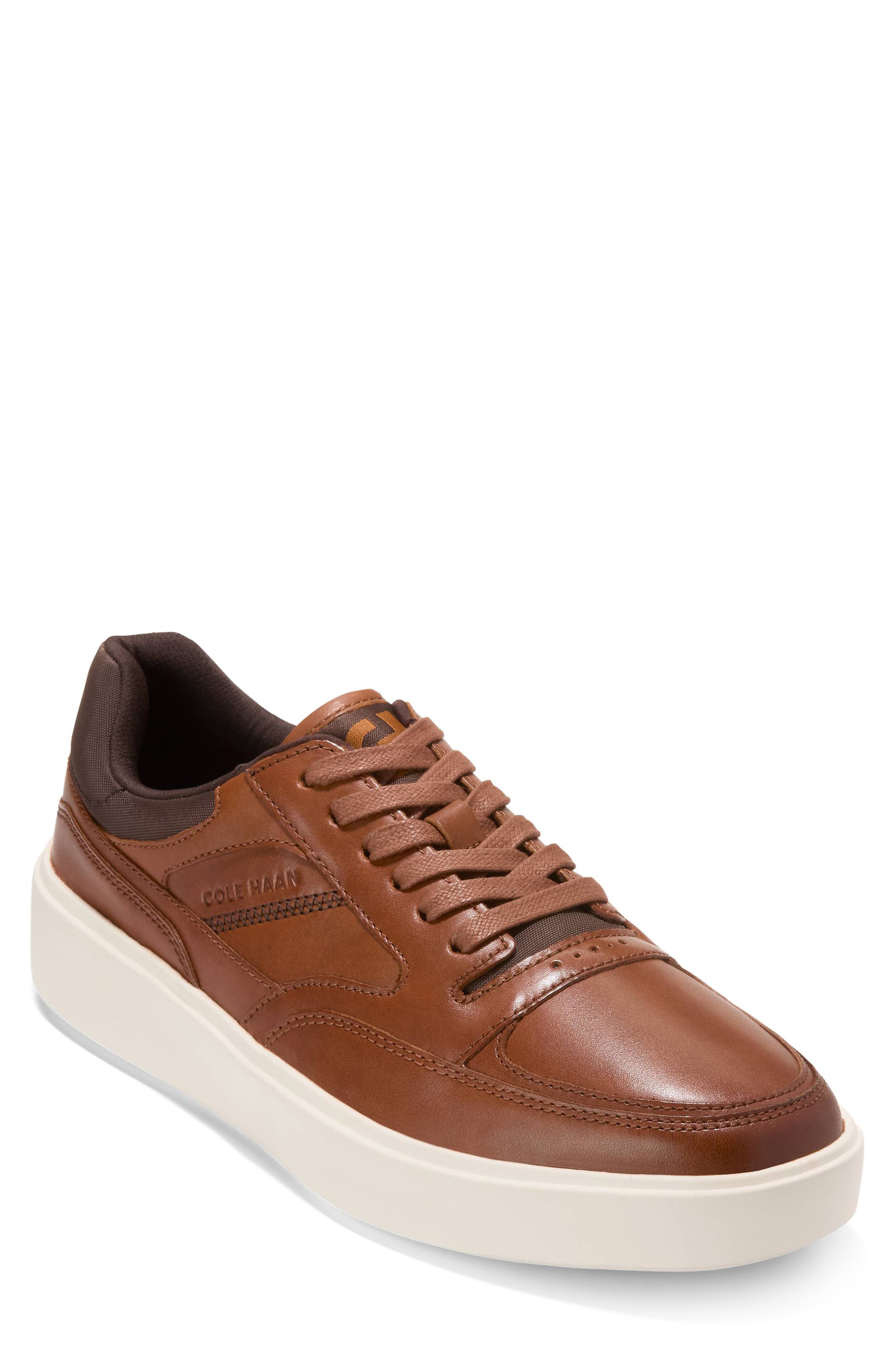  Ch British Tan / Ch Dk Chocola