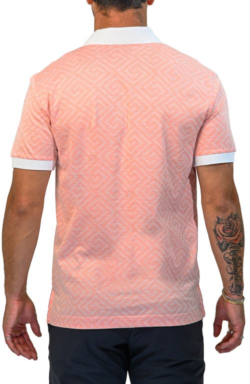 Maceoo Mozartdiagonaltip Peach Cotton Polo In Pink