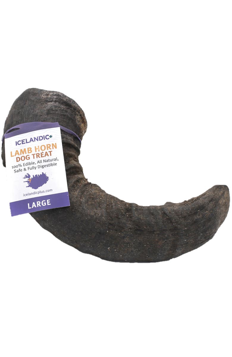ICELANDIC+ Large Lamb Horn Dog Chew, Main, color, Multicolored