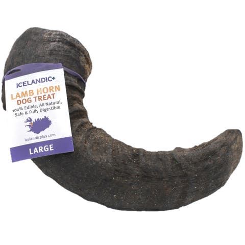 Large Lamb Horn Dog Chew