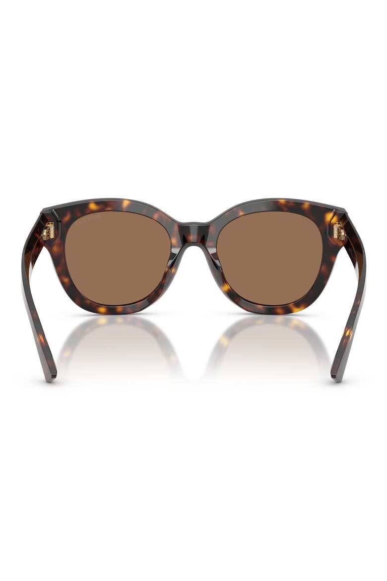 51mm Round Sunglasses, Alternate, color, HAVANA / DARK BROWN