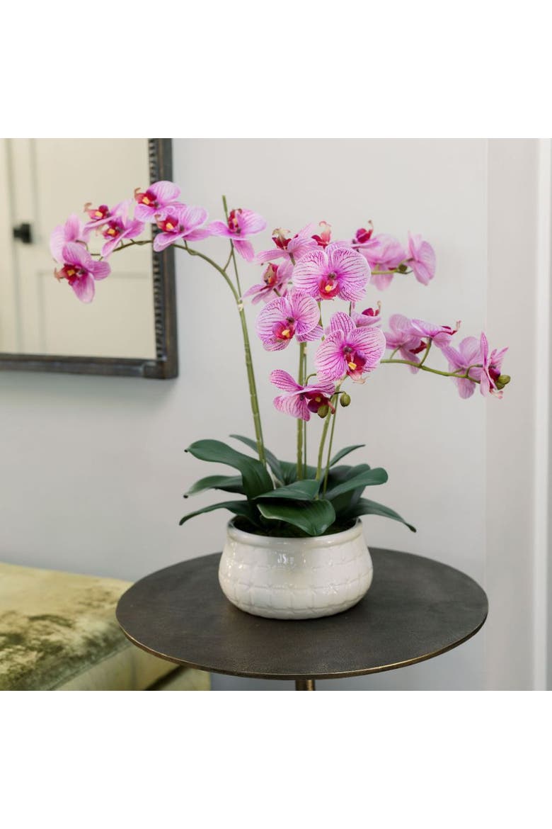23" Phale Orchid, Alternate, color, Purple