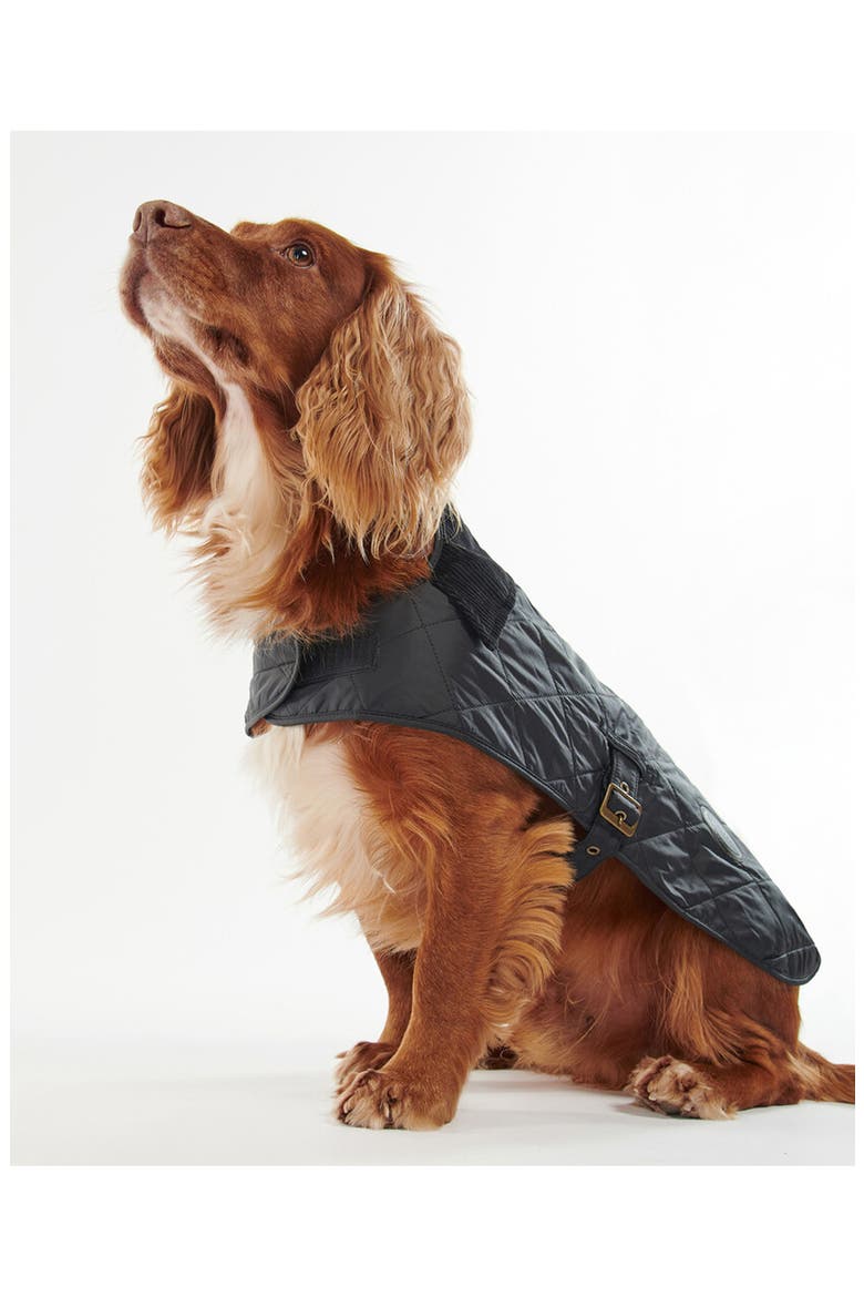 Quilted Dog Coat, Main, color, BLACK