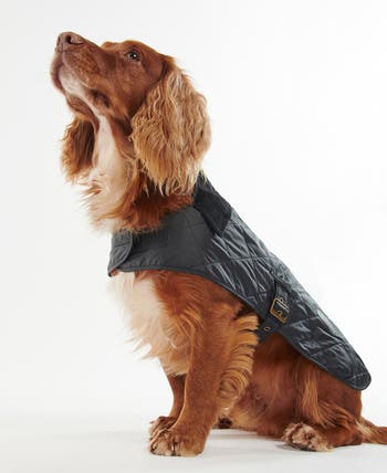 Barbour Quilted Dog Coat Nordstrom