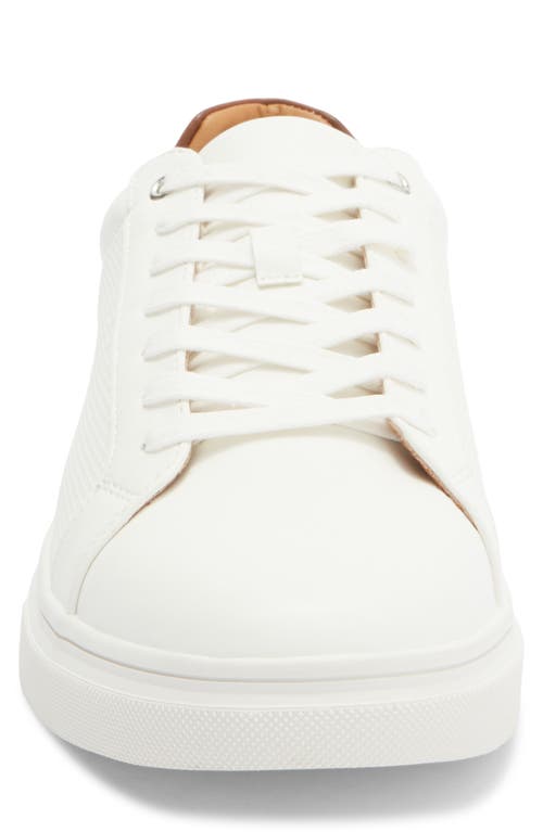 Steve Madden Strouz Low Top Sneaker In White
