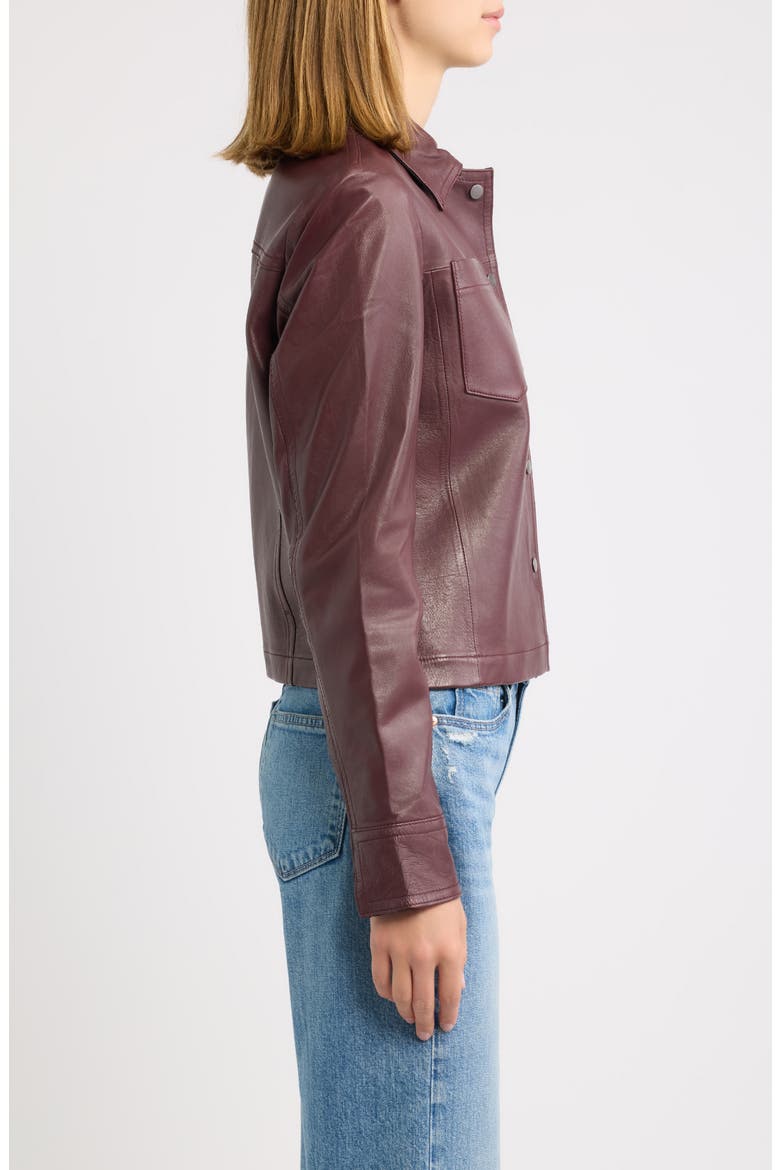Lefei Leather Jacket, Alternate, color, WINE/ BLACK