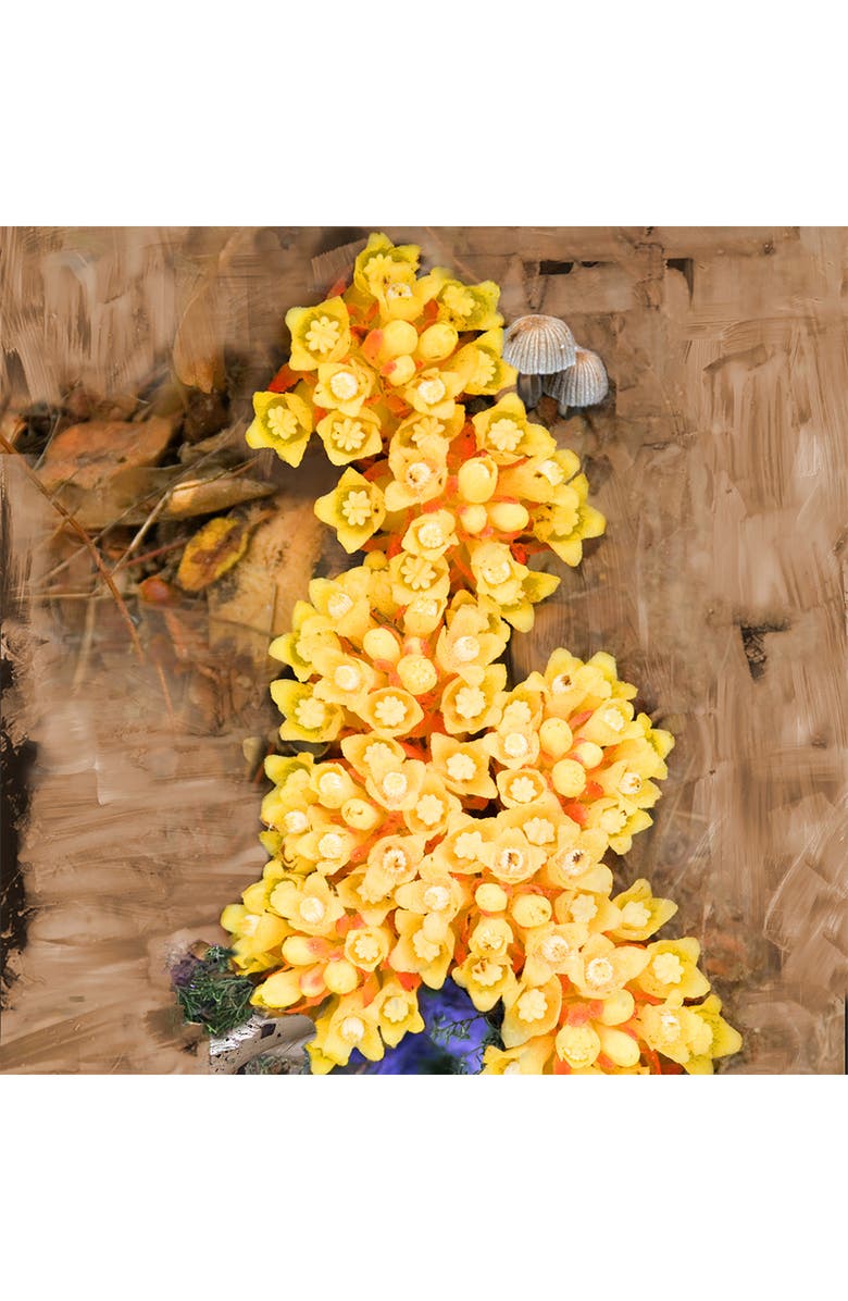 De Los Santos Eau de Parfum