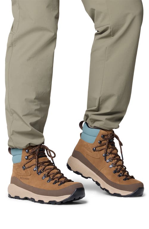 Columbia Newton Alpine Waterproof Hiking Boot In Brown