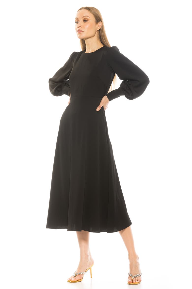 Sophie Long Sleeve Fit & Flare Maxi Dress, Alternate, color, BLACK