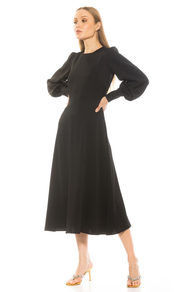 Alexia Admor Sophie Long Sleeve Fit & Flare Maxi Dress, Alternate, color, 