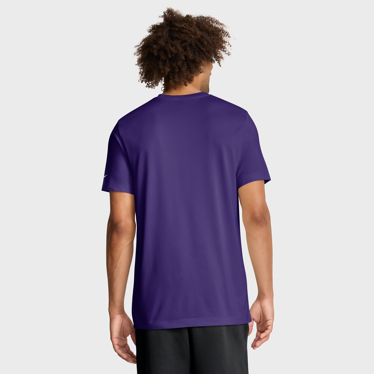 Nike Men's Nike Purple Minnesota Vikings Legend Icon Dri-FIT T-Shirt ...