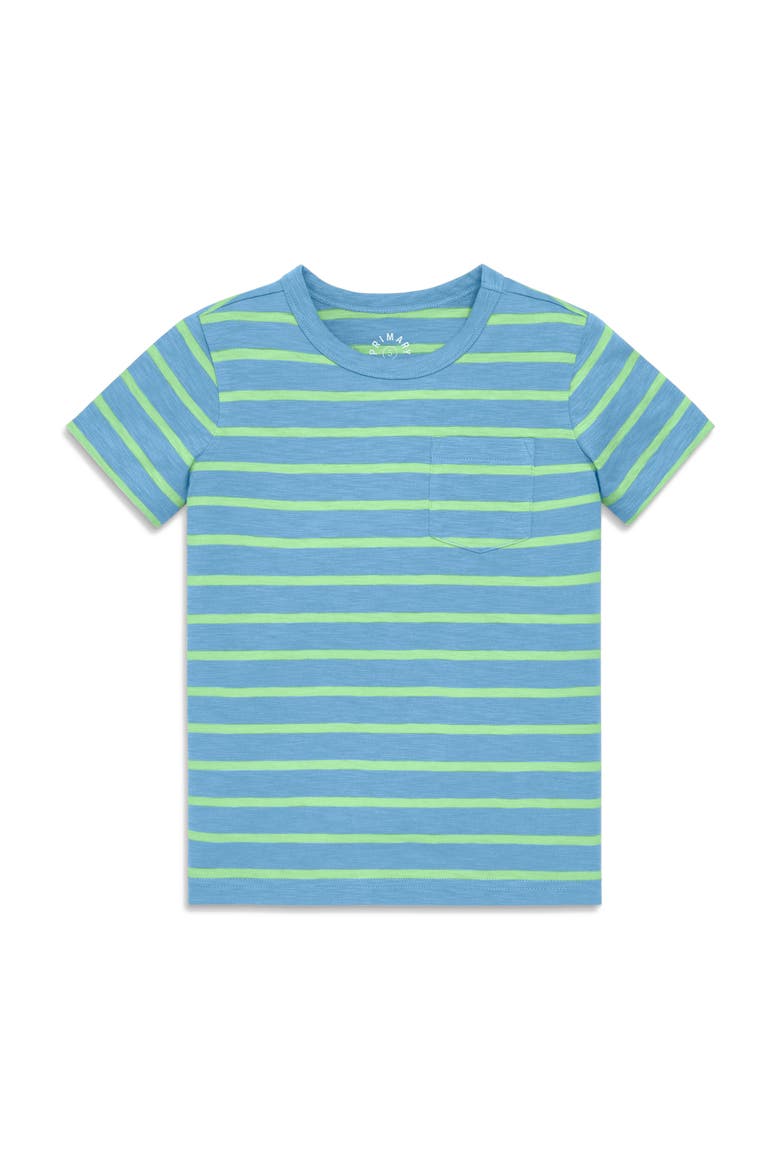 Kids Pocket Tee, Main, color, Cornflower Pear Stripe