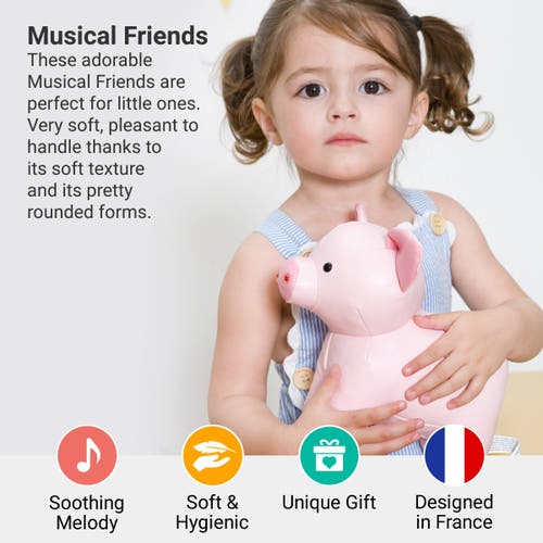 Little Big Friends Musical Animals In Pink