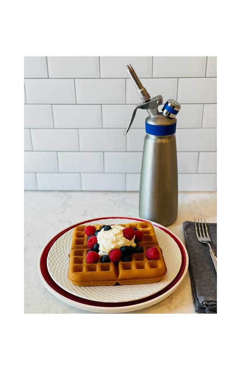 FRIELING by Mosa Master Whipper Professional Cream Whipper, Alternate, color, Silver  1 Liter