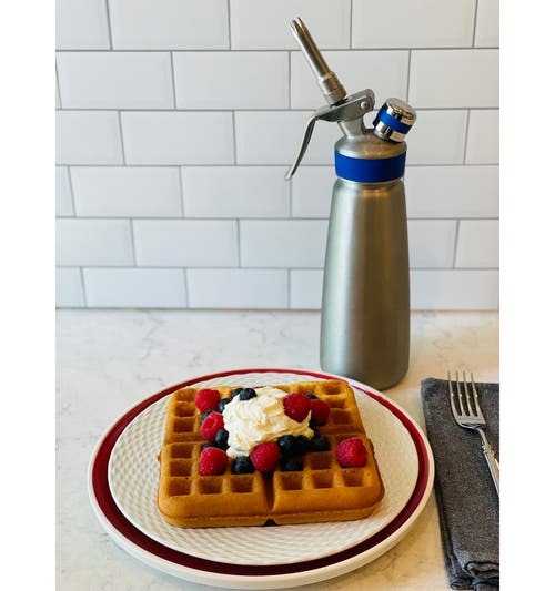 Frieling By Mosa Master Whipper Professional Cream Whipper In Silver