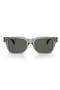  Transparent Grey / Dark Green