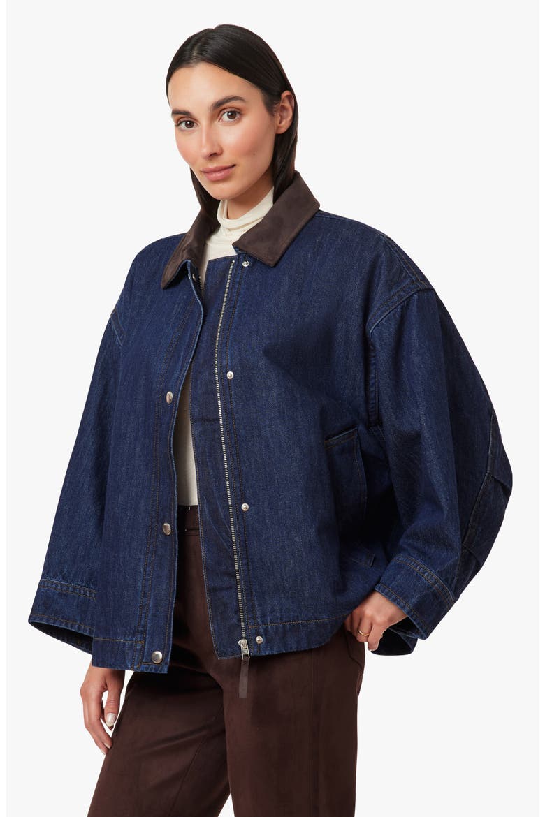 Oversized Denim Jacket, Alternate, color, RINSE