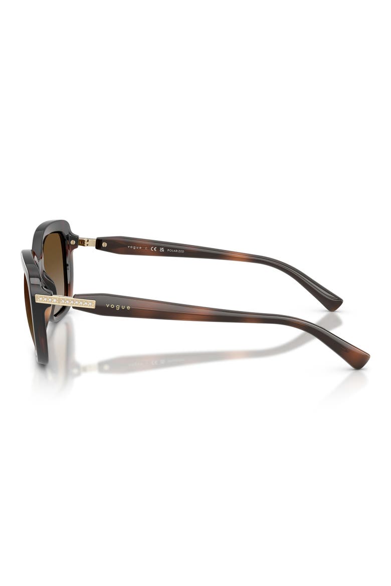 VO5678SB 55mm Polarized Butterfly Sunglasses, Alternate, color, BROWN HAVANA / GREY BROWN
