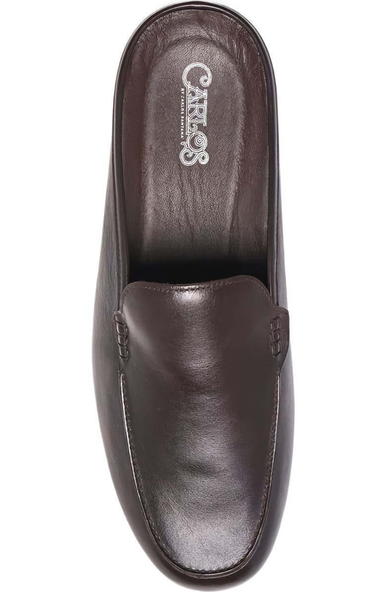 CARLOS SANTANA Planeo Slides, Alternate, color, Dark Chocolate