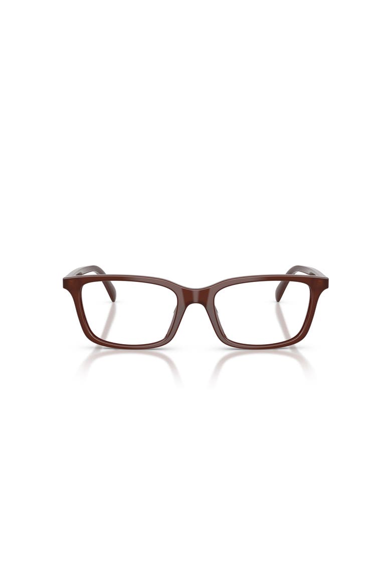 53mm Cat Eye optical glasses, Alternate, color, Brown