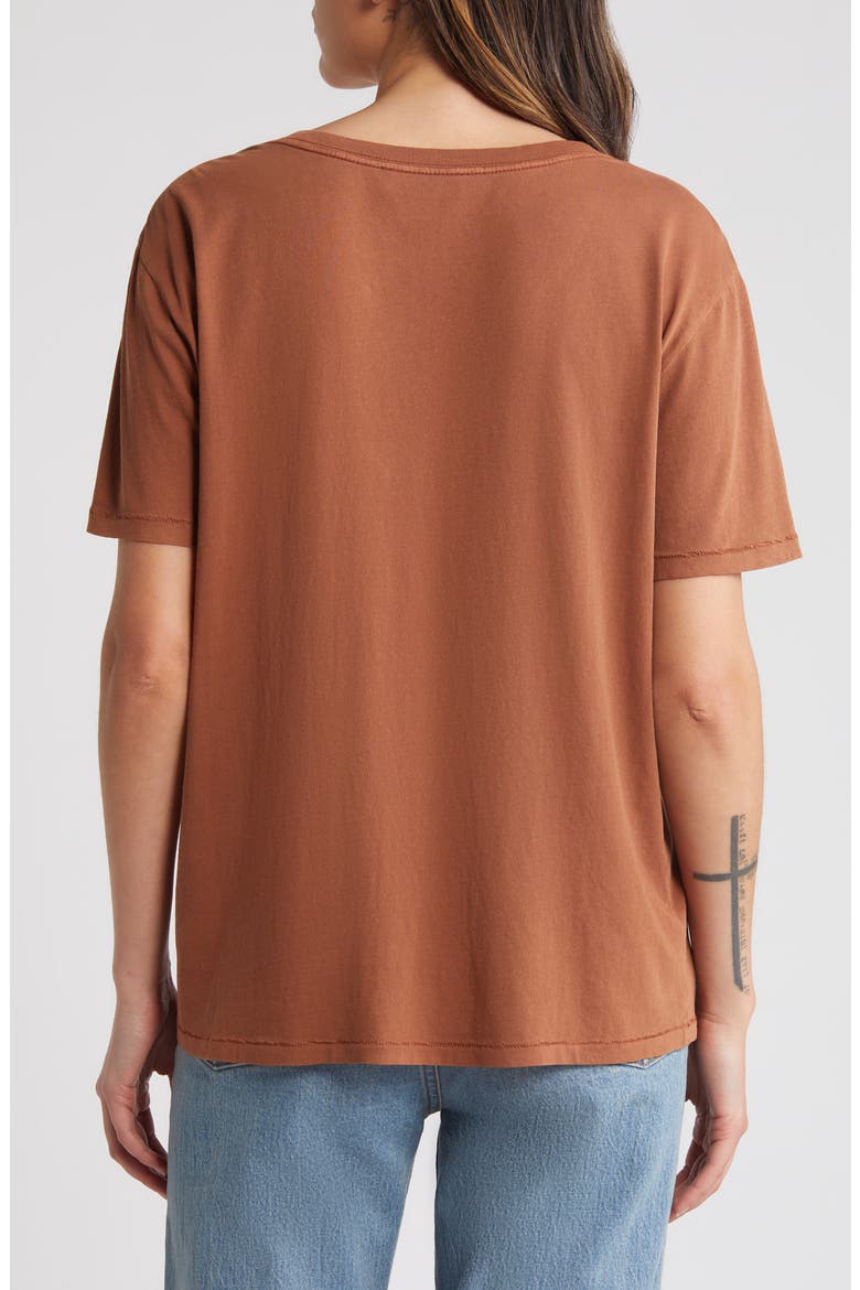 Oversize V-Neck Cotton T-Shirt, Alternate, color, RUST SEQUOIA