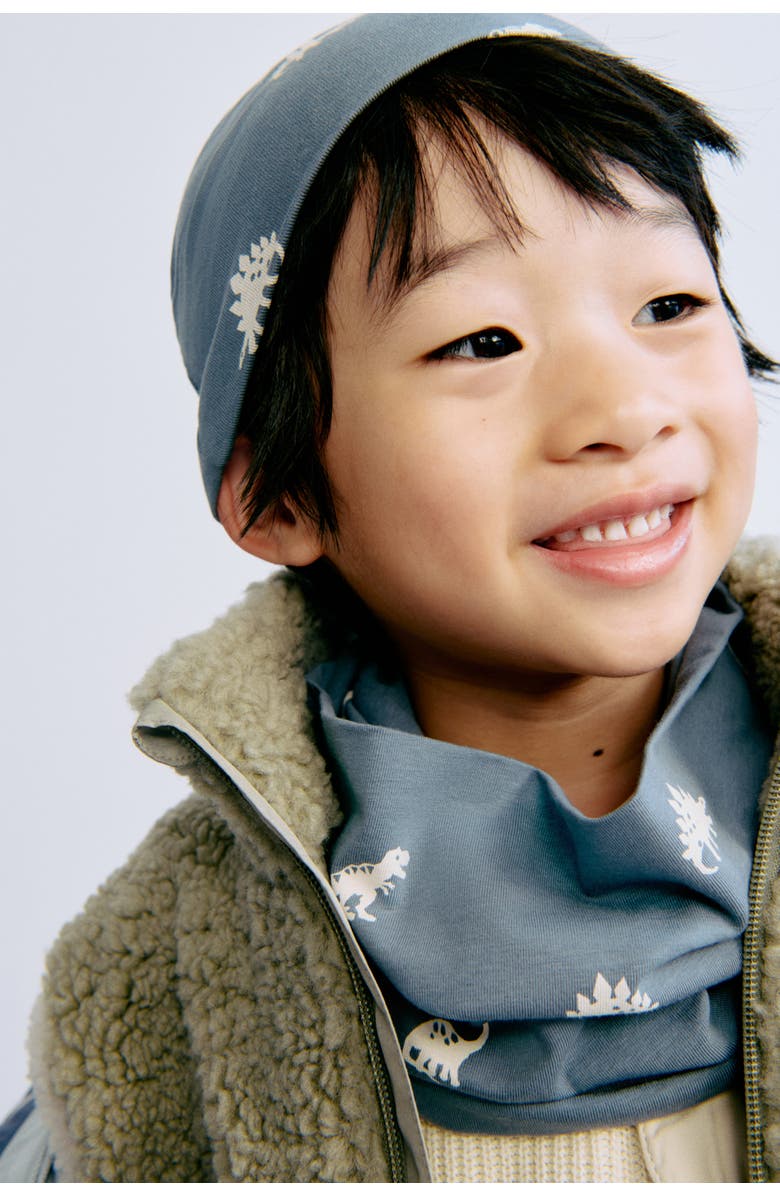 H&M 2-piece Beanie And Tube Scarf Set, Alternate, color, Dusty Blue/Dinosaurs