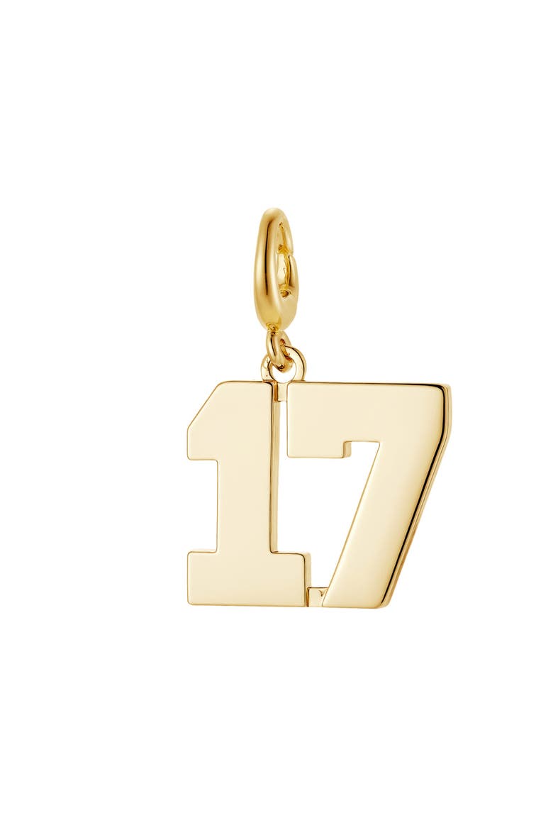 Drip Digits Number Pendant Charm, Main, color, gold 17