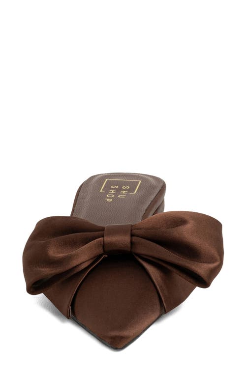 Shushop Dorothy Pointed Toe Flat In Brown