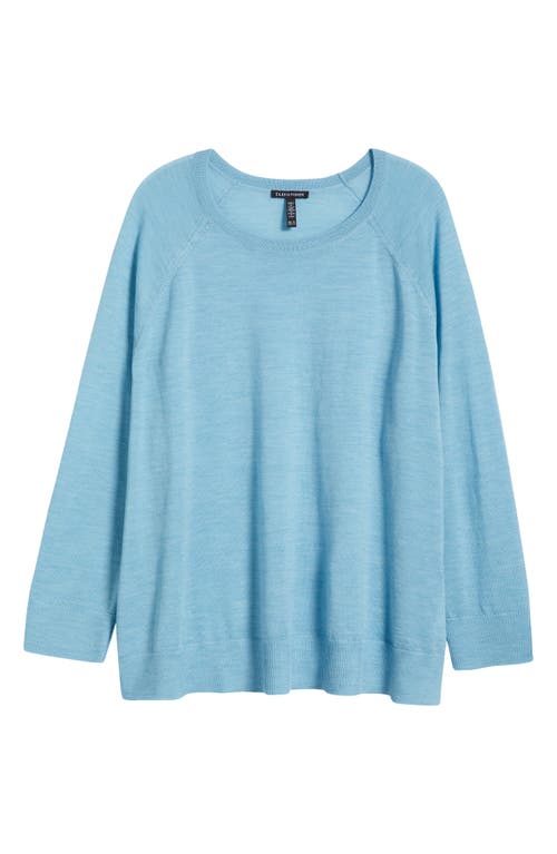 Eileen Fisher Raglan Sleeve Crewneck Merino Wool Sweater In Blue