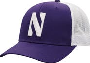 TOP OF THE WORLD Men's Top of the World Purple/White Northwestern Wildcats Trucker Snapback Hat