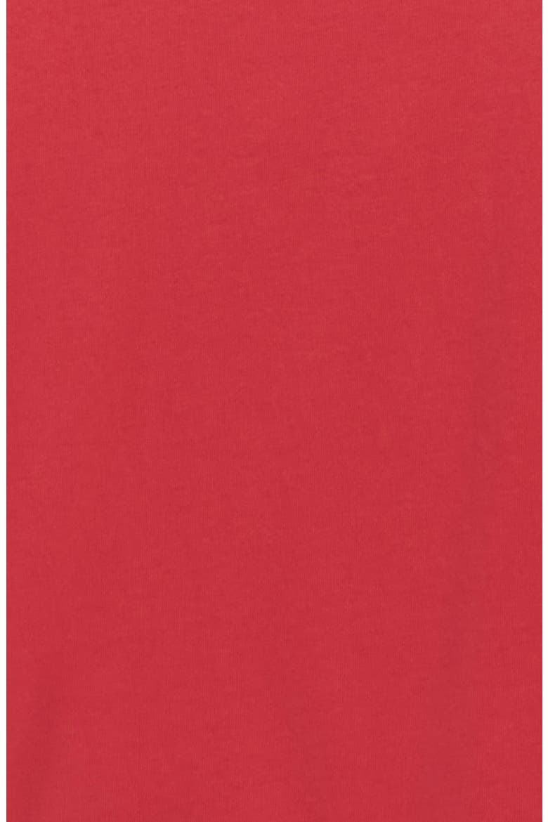 Kids' Surf Check Cotton Graphic T-Shirt, Alternate, color, WASHED RED