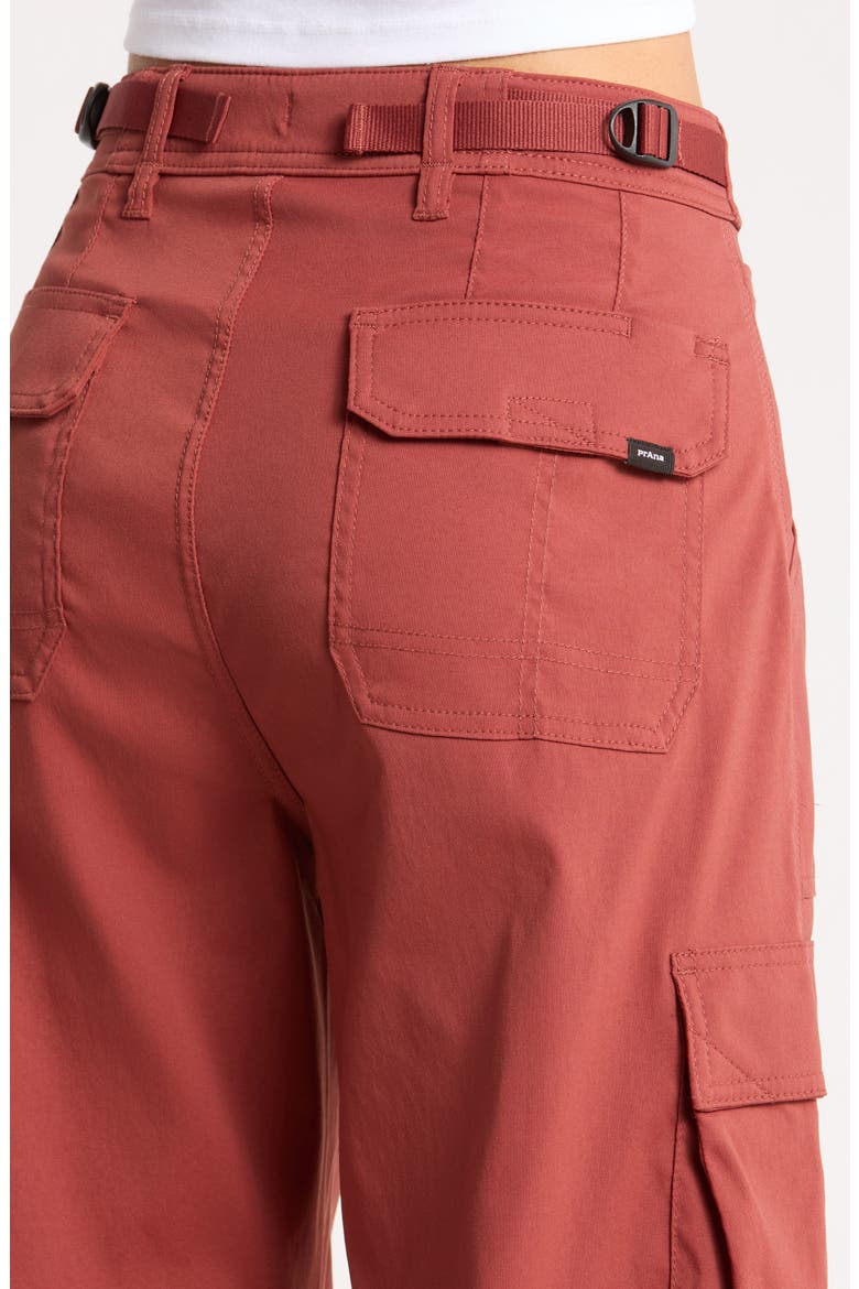 Zion Cargo Pants, Alternate, color, RED OCHRE