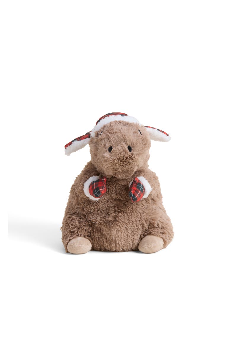 Cozy Capybara Plush Toy, Alternate, color, Brown
