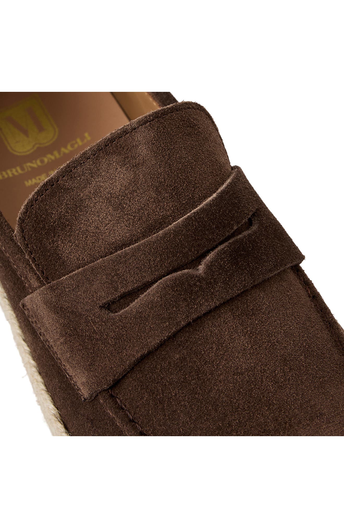 Amalfi Penny Loafer, Alternate, color, DARK BROWN SUEDE