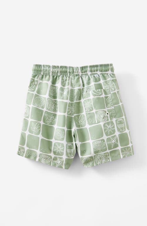 Cotton On Kids Kid's Bailey Board Short In Deep Sage Beach Tile